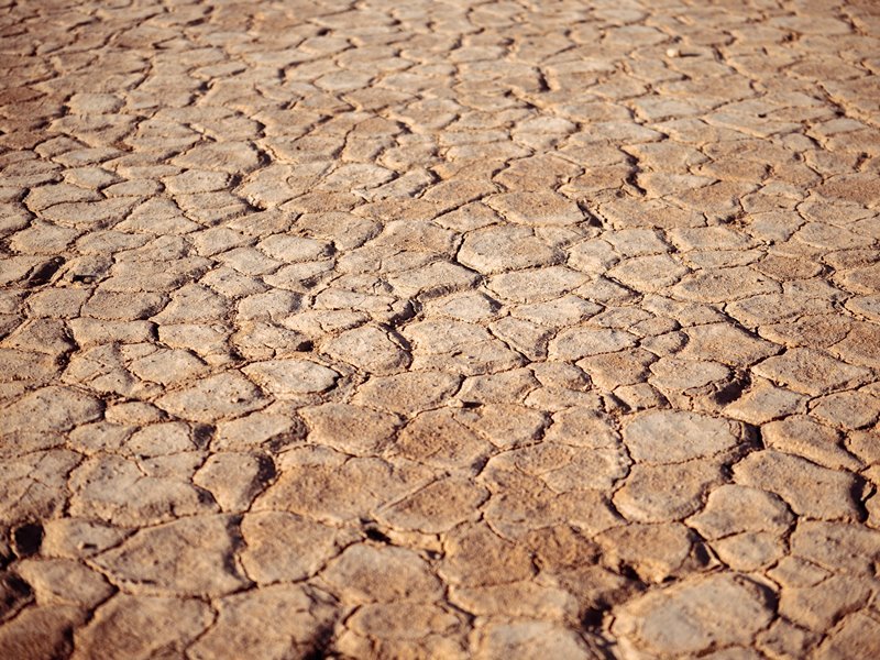 Las vacunas como medida de salud preventiva ante el cambio climático.